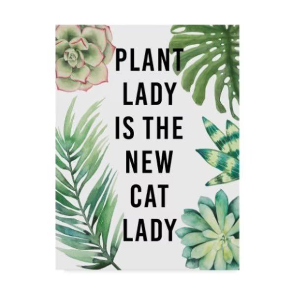 Studio W 'Plant Love I' Canvas Art, 18x24, Trademark Fine Art, Mfr#: WAG05403-C1824GG